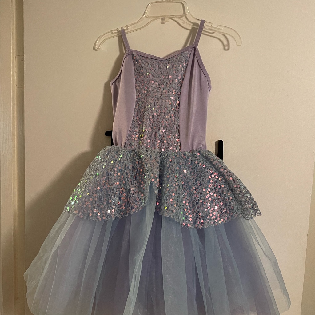 Ballerina Costume Stunning Worn Once